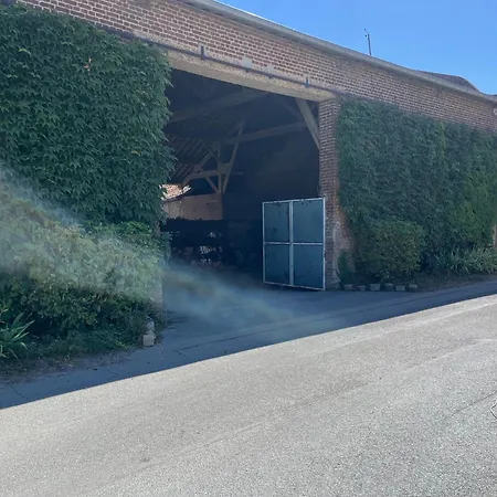 L'herbe De Grâce * Plachy-Buyon